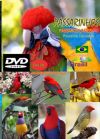 DVD 08 - P�ssaros Livres - Sons P�ssaros Brasil